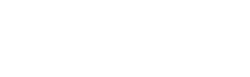 FLYBUYS